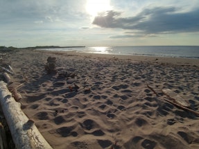 Acadian beach